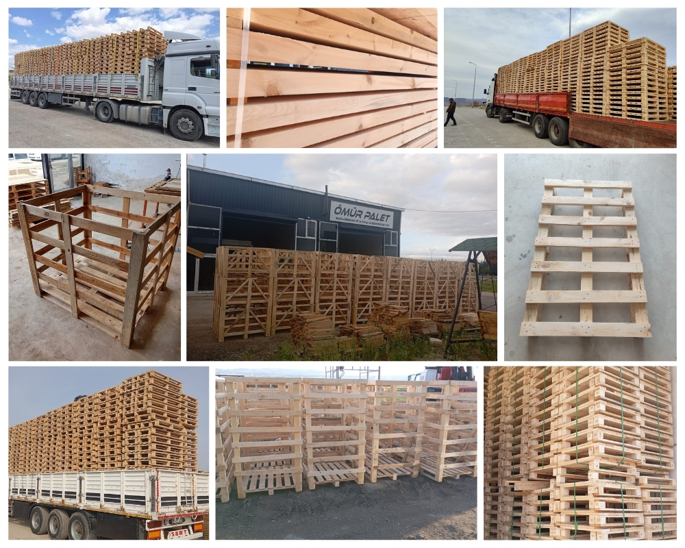 Produttore di Pallet in Legno in Turchia